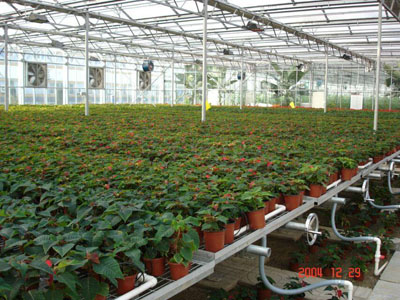 溫室具備哪些育苗設(shè)備，可加快蔬菜產(chǎn)業(yè)現(xiàn)代化進(jìn)程？