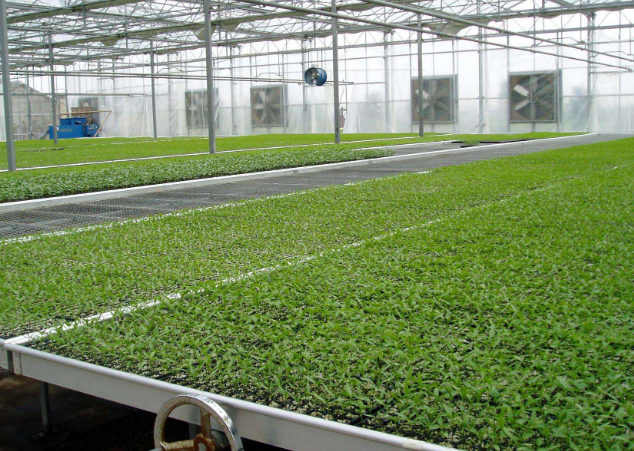 溫室移動(dòng)苗床該如何施工呢？